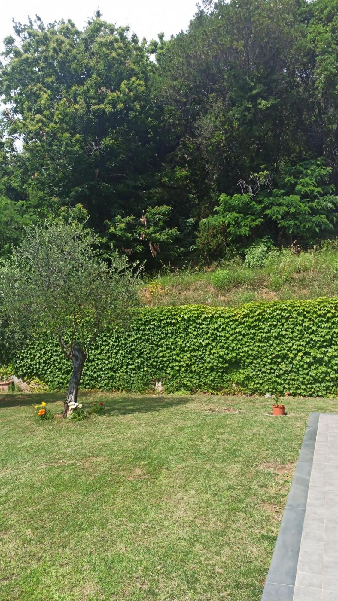 "Vento Di Levante Suite" Benvenuti In Collina Casarza Ligure Extérieur photo
